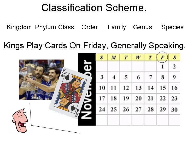classification_scheme.jpg