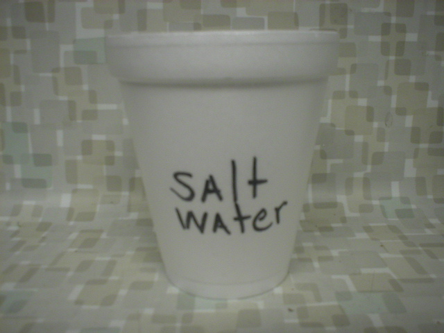 egg-salt.jpg