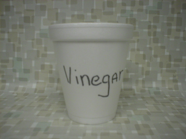 egg-vinegar.jpg