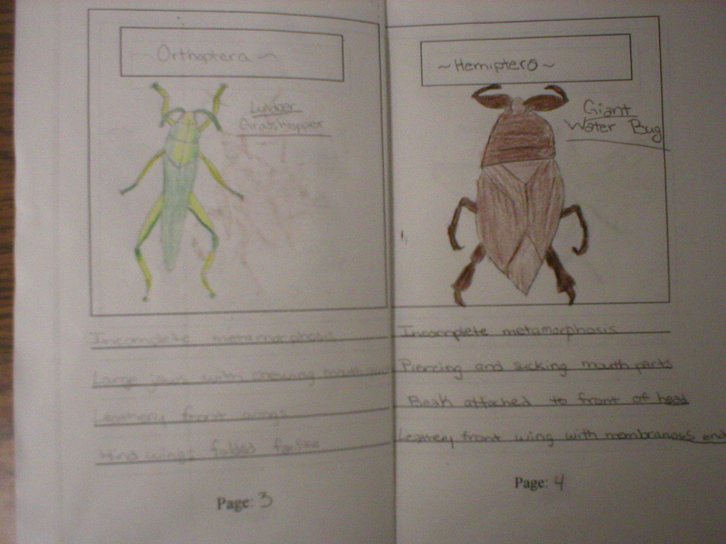 insect_guide_book.jpg